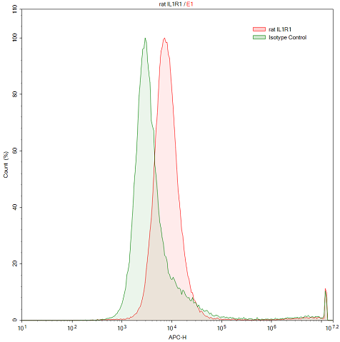 Anti-Interleukin 1 Receptor Type I (IL1R1) Polyclonal Antibody