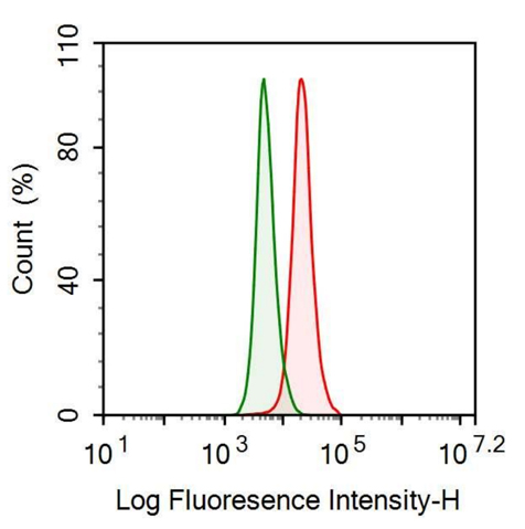 Anti-Interleukin 1 Receptor Type I (IL1R1) Polyclonal Antibody