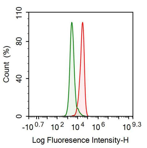 Anti-Nerve Growth Factor (NGF) Monoclonal Antibody