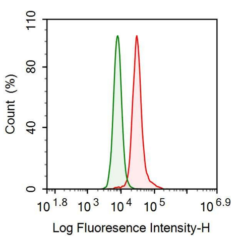 Anti-Transforming Growth Factor Alpha (TGFa) Monoclonal Antibody