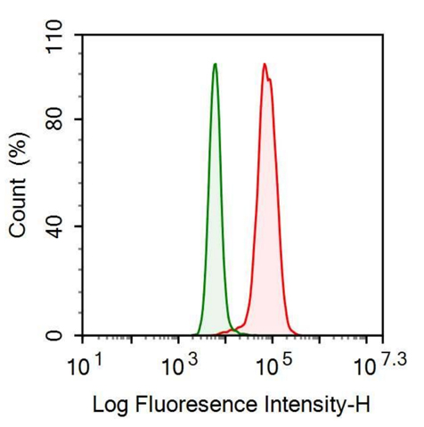 Anti-Transforming Growth Factor Alpha (TGFa) Monoclonal Antibody