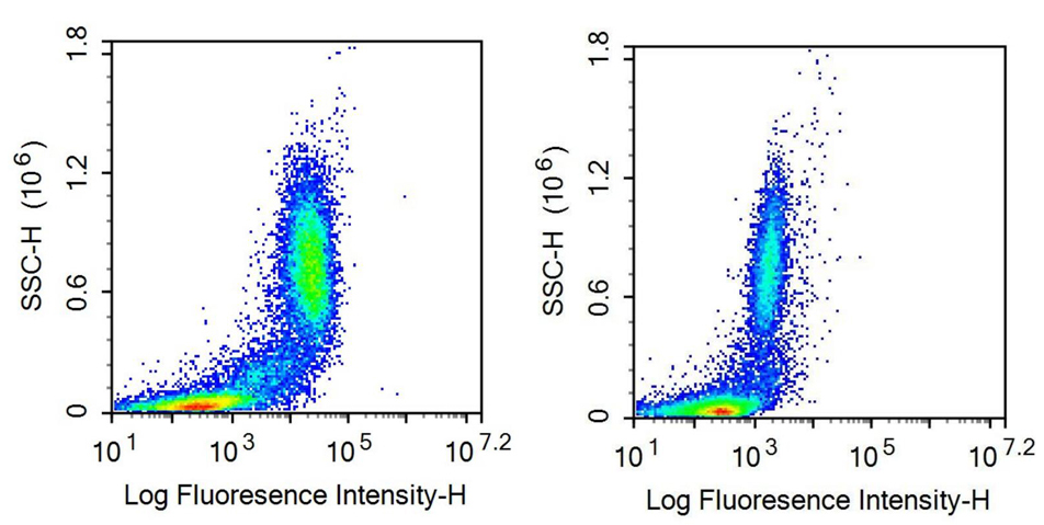 Anti-Tumor Necrosis Factor Receptor Superfamily, Member 10C (TNFRSF10C) Polyclonal Antibody