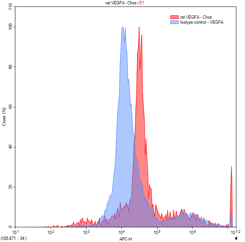 Anti-Vascular Endothelial Growth Factor A (VEGFA) Polyclonal Antibody