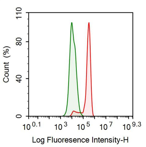 Anti-Alpha-Fetoprotein (AFP) Monoclonal Antibody