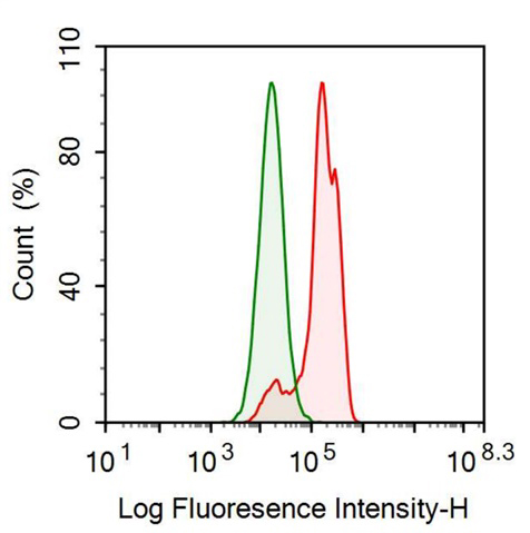 Anti-Alpha-Fetoprotein (AFP) Monoclonal Antibody