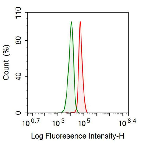 Anti-Alpha-Fetoprotein (AFP) Monoclonal Antibody