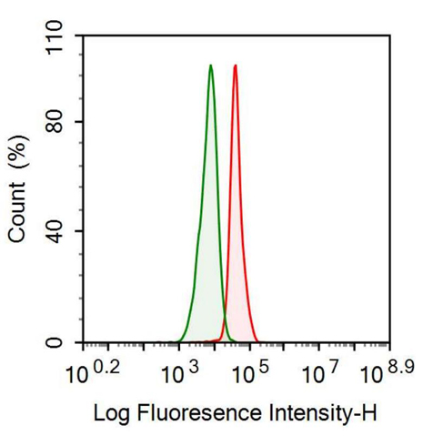 Anti-Alpha-Fetoprotein (AFP) Monoclonal Antibody