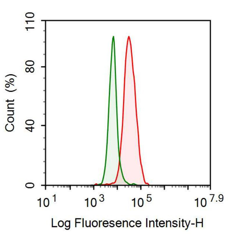 Anti-Alpha-Fetoprotein (AFP) Polyclonal Antibody