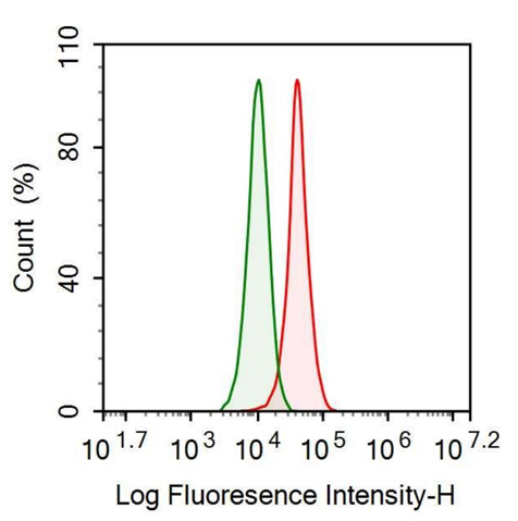 Anti-Ubiquitin (Ub) Monoclonal Antibody