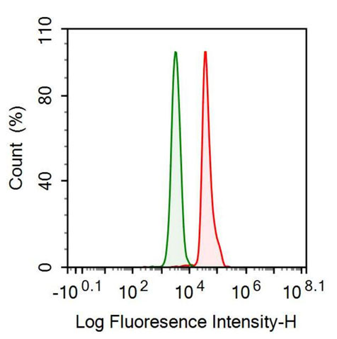 Anti-Pepsinogen A (PGA) Monoclonal Antibody