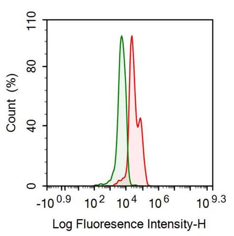 Anti-Anti-Mullerian Hormone (AMH) Monoclonal Antibody