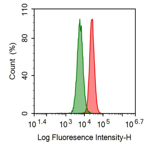 FITC-Linked Anti-Annexin V (ANXA5) Monoclonal Antibody