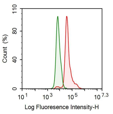 Anti-Histone H3 (H3) Monoclonal Antibody