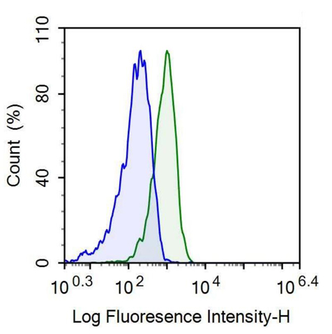 Anti-Galectin 3 (GAL3) Monoclonal Antibody