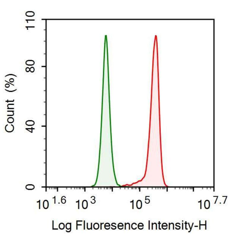 Anti-Galectin 7 (GAL7) Monoclonal Antibody