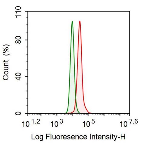 Anti-Galectin 1 (GAL1) Monoclonal Antibody