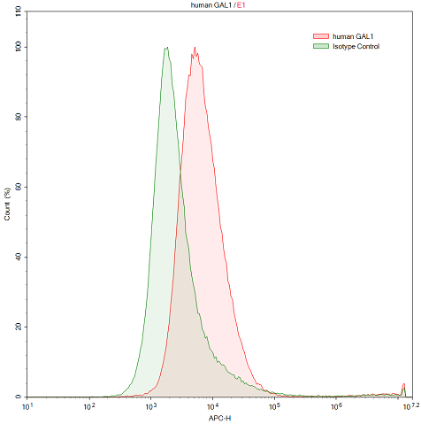 Anti-Galectin 1 (GAL1) Polyclonal Antibody