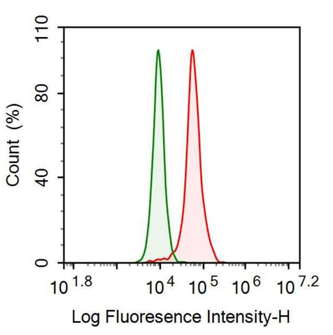 Anti-Gelsolin (GSN) Monoclonal Antibody