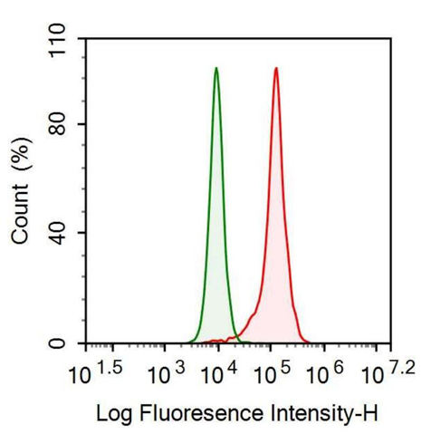 Anti-Gelsolin (GSN) Monoclonal Antibody