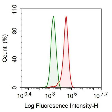 Anti-GATA Binding Protein 3 (GATA3) Monoclonal Antibody