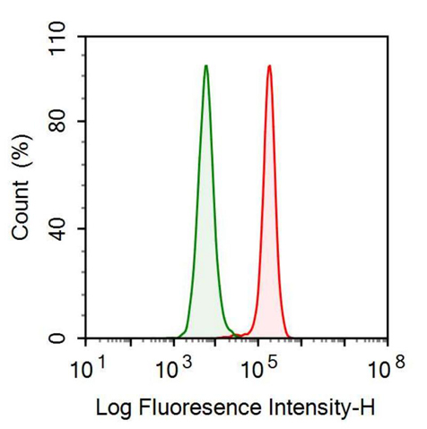 Anti-Neurokinin A (NKA) Monoclonal Antibody