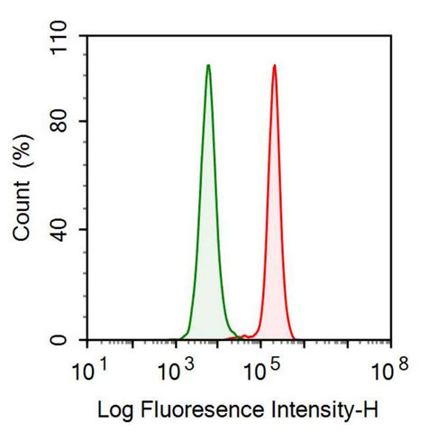 Anti-Neurokinin A (NKA) Monoclonal Antibody