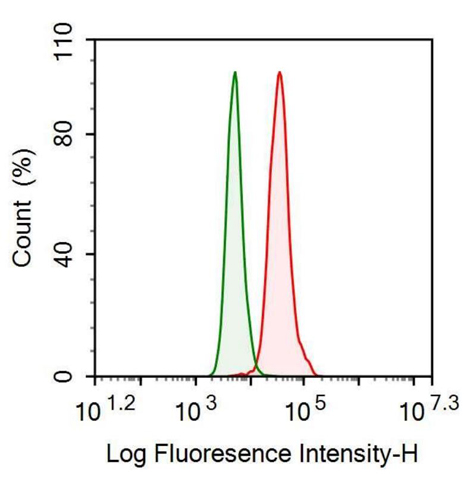 Anti-Insulin (INS) Monoclonal Antibody