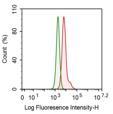 Anti-Myoglobin (MYO) Monoclonal Antibody