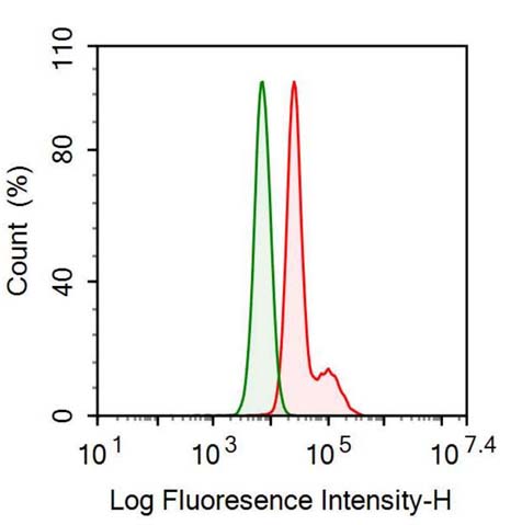 Anti-Plasminogen Activator Inhibitor 1 (PAI1) Monoclonal Antibody