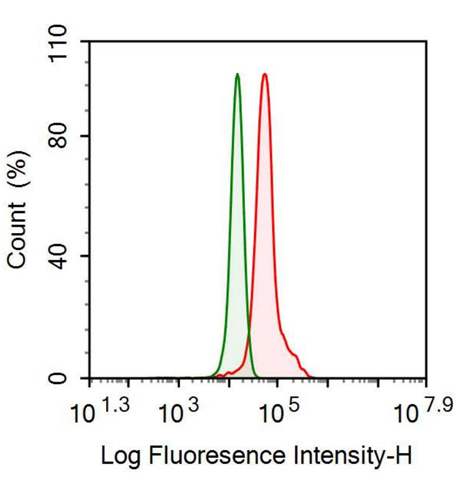 Anti-Plasminogen Activator Inhibitor 1 (PAI1) Monoclonal Antibody