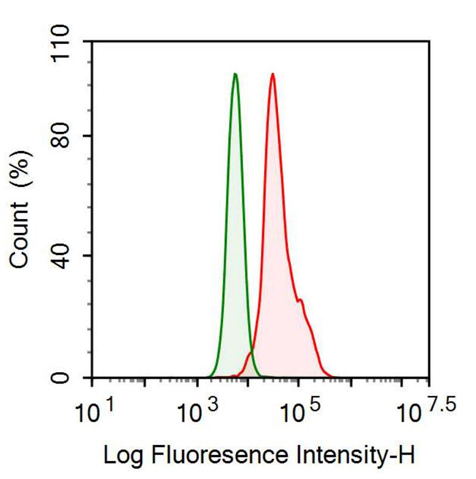 Anti-Tissue Inhibitors Of Metalloproteinase 1 (TIMP1) Monoclonal Antibody