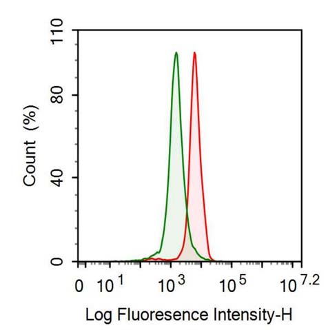 Anti-Tissue Inhibitors Of Metalloproteinase 1 (TIMP1) Monoclonal Antibody