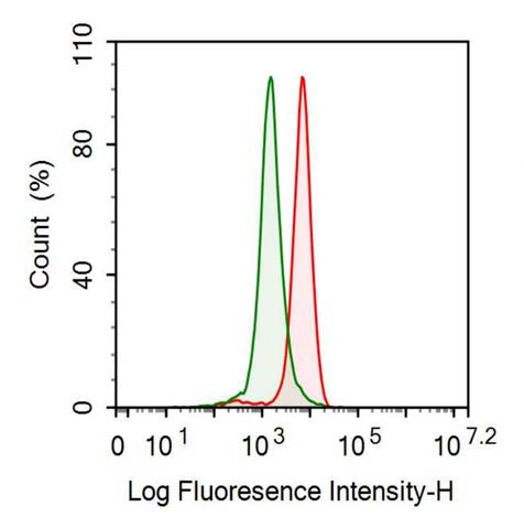 Anti-Tissue Inhibitors Of Metalloproteinase 1 (TIMP1) Monoclonal Antibody