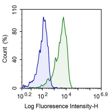 Anti-P-Selectin (SELP) Polyclonal Antibody