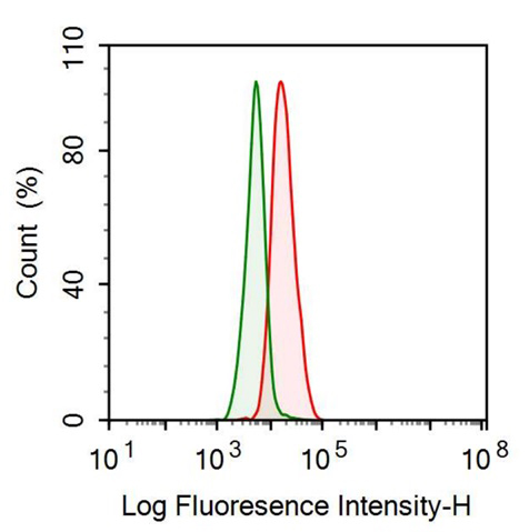 Anti-Visfatin (VF) Monoclonal Antibody