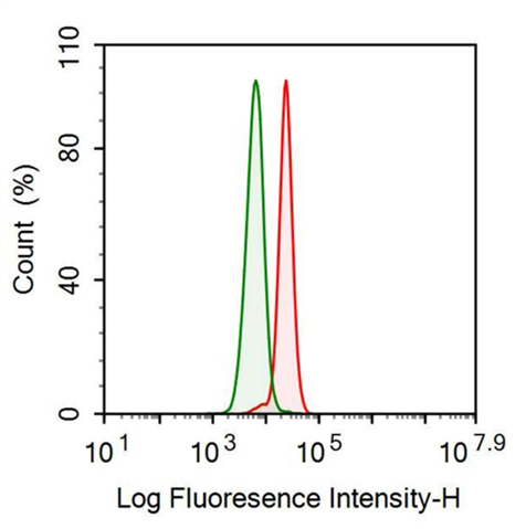 Anti-Visfatin (VF) Monoclonal Antibody