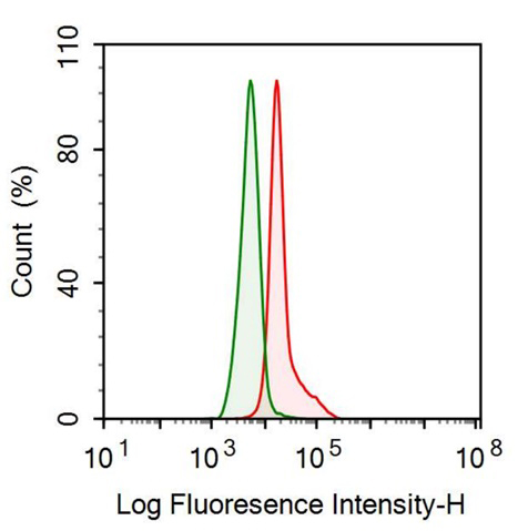 Anti-Visfatin (VF) Monoclonal Antibody