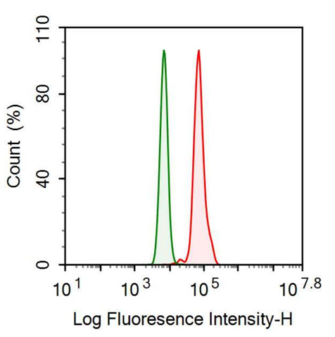 Anti-Complement component 1 Q subcomponent-binding protein, mitochondrial (C1QBP) Monoclonal Antibody