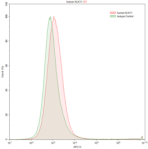 Anti-Kallikrein 11 (KLK11) Polyclonal Antibody