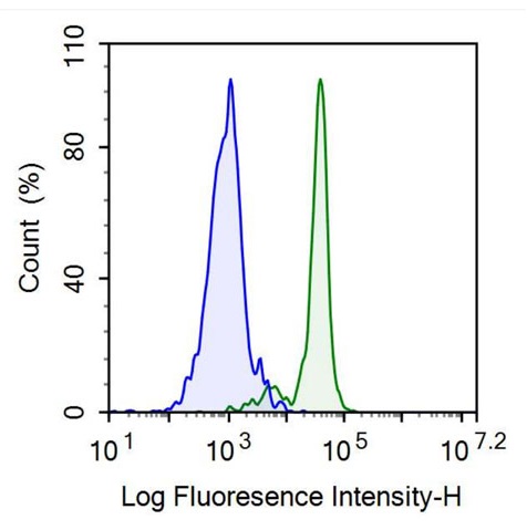 Anti-Homing Associated Cell Adhesion Molecule (HCAM) Monoclonal Antibody