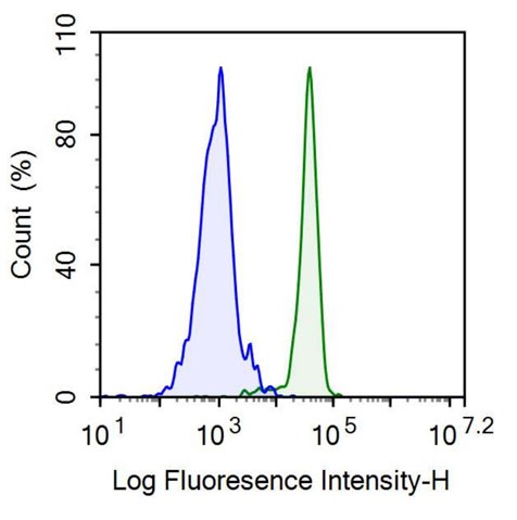 Anti-Homing Associated Cell Adhesion Molecule (HCAM) Monoclonal Antibody