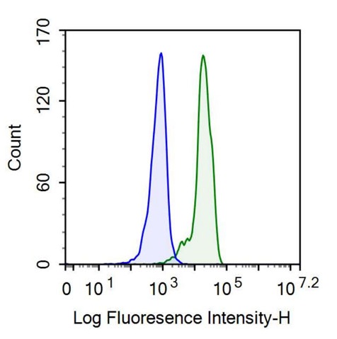 Anti-Homing Associated Cell Adhesion Molecule (HCAM) Monoclonal Antibody