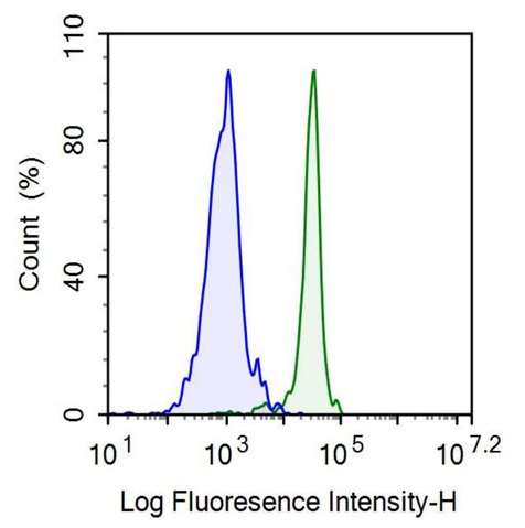 Anti-Homing Associated Cell Adhesion Molecule (HCAM) Monoclonal Antibody