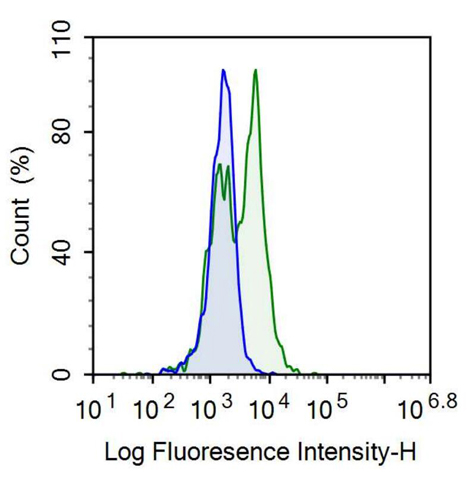 Anti-Cluster Of Differentiation 14 (CD14) Polyclonal Antibody