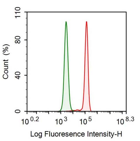 Anti-Thioredoxin (Trx) Monoclonal Antibody