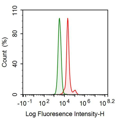 Anti-Prealbumin (PALB) Monoclonal Antibody