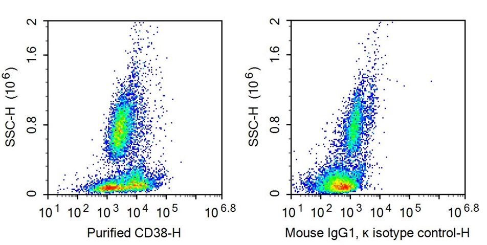 Anti-Cluster Of Differentiation 38 (CD38) Monoclonal Antibody