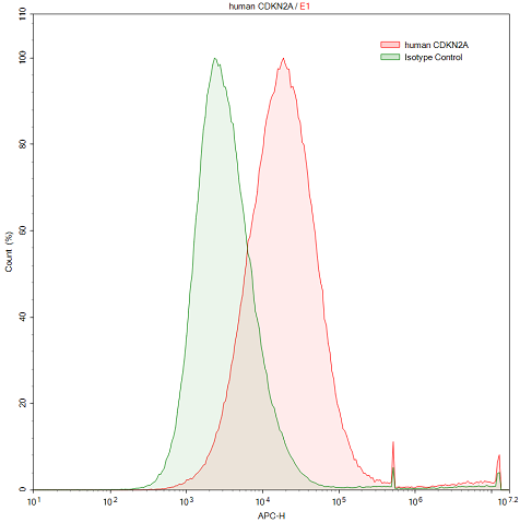 Anti-Cyclin Dependent Kinase Inhibitor 2A (CDKN2A) Polyclonal Antibody