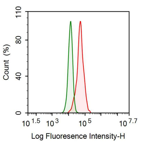 Anti-Alpha-1-Acid Glycoprotein (a1AGP) Monoclonal Antibody