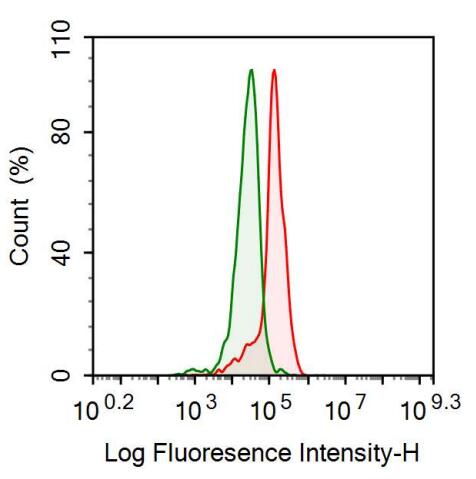 Anti-Alpha-1-Acid Glycoprotein (a1AGP) Monoclonal Antibody